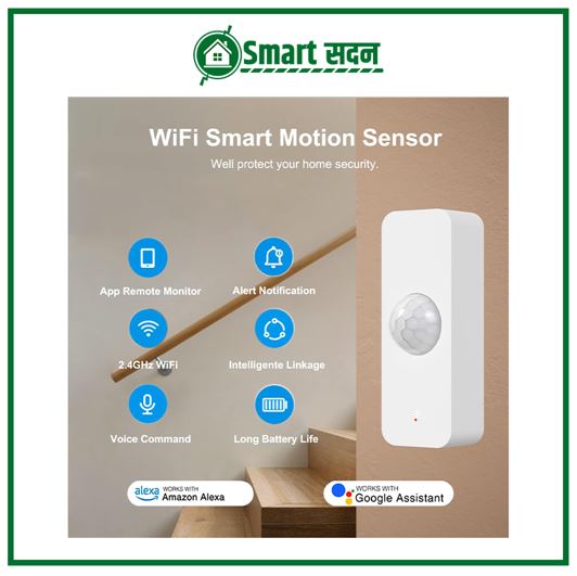 Motion Sensor