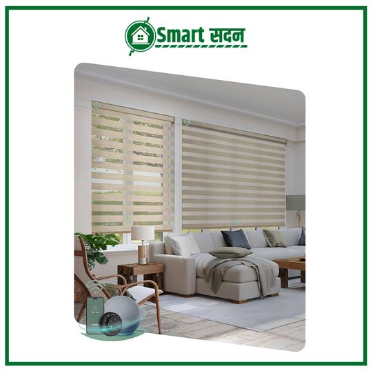 Zebra Smart Blinds
